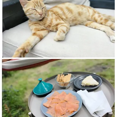 Uribiarte Goiko Orozko