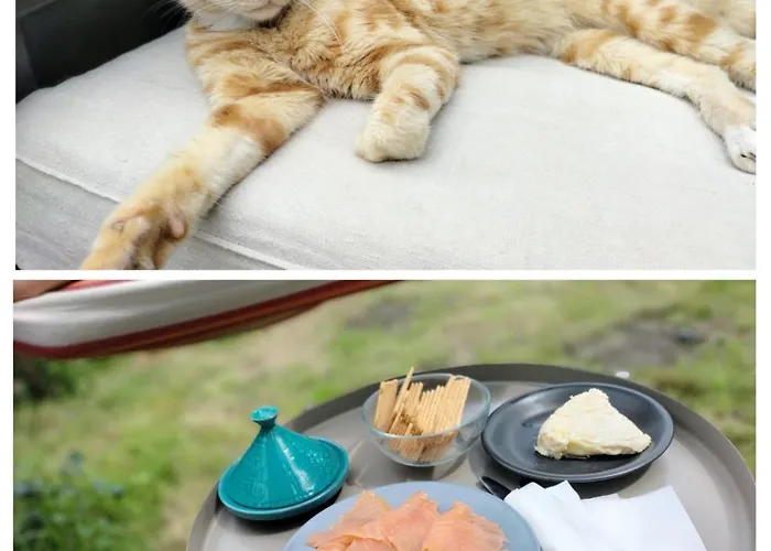 Uribiarte Goiko Orozko